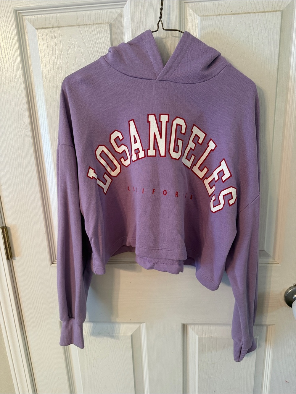 Los Angeles Lavender Cropped Hoodie Zara S